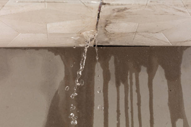Professional Water Damage Inspection technician working in Metamora, MI